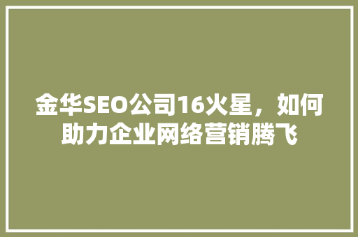 金华SEO公司16火星，如何助力企业网络营销腾飞 网站建设公司