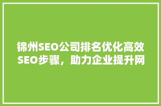 锦州SEO公司排名优化高效SEO步骤，助力企业提升网络竞争力 神马SEO
