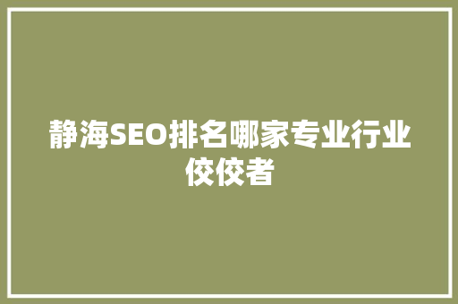 静海SEO排名哪家专业行业佼佼者 SEO关键词