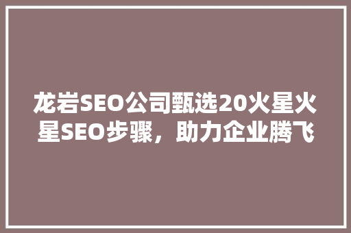 龙岩SEO公司甄选20火星火星SEO步骤，助力企业腾飞 网站建设公司