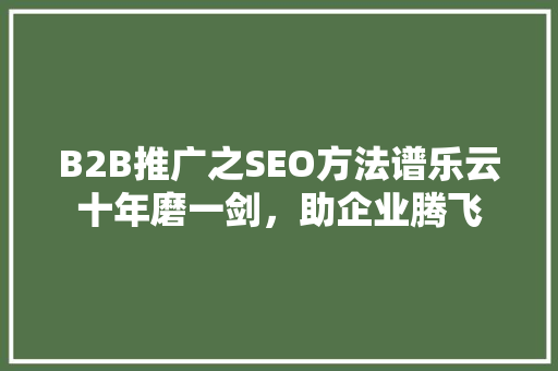 B2B推广之SEO方法谱乐云十年磨一剑，助企业腾飞 神马SEO