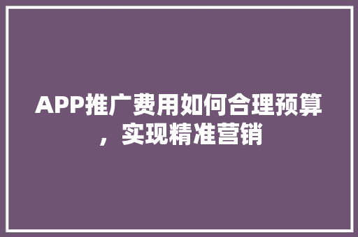 APP推广费用如何合理预算，实现精准营销 神马SEO