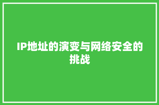 IP地址的演变与网络安全的挑战 百度SEO