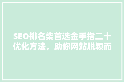 SEO排名柒首选金手指二十优化方法，助你网站脱颖而出