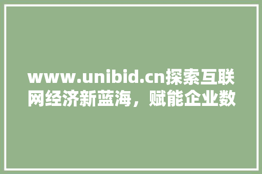 www.unibid.cn探索互联网经济新蓝海，赋能企业数字化转型之路