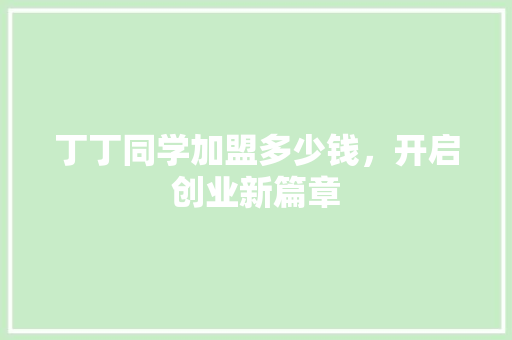 丁丁同学加盟多少钱，开启创业新篇章