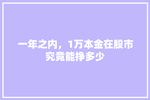 一年之内，1万本金在股市究竟能挣多少