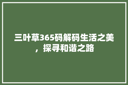 三叶草365码解码生活之美，探寻和谐之路