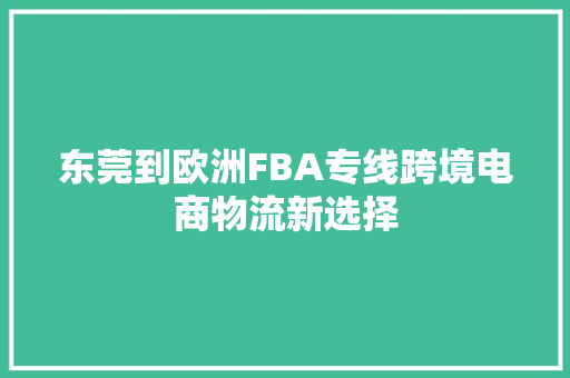 东莞到欧洲FBA专线跨境电商物流新选择 必应SEO