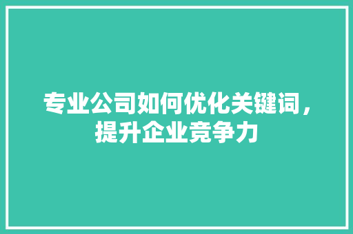 专业公司如何优化关键词，提升企业竞争力