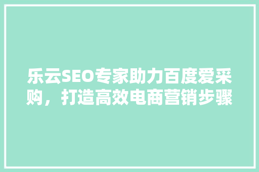 乐云SEO专家助力百度爱采购，打造高效电商营销步骤 百度SEO