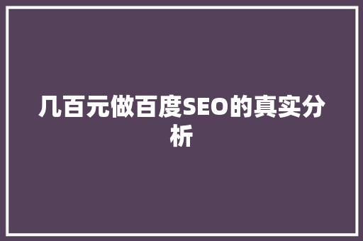 几百元做百度SEO的真实分析