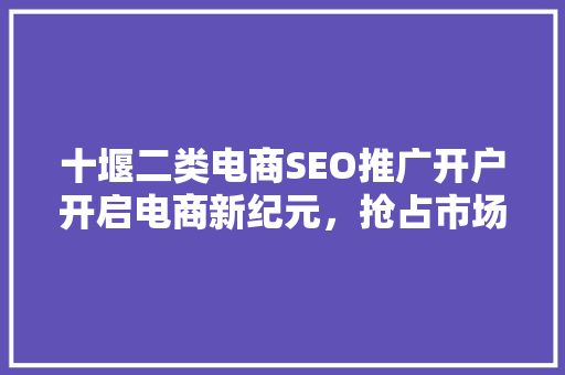 十堰二类电商SEO推广开户开启电商新纪元，抢占市场份额 神马SEO