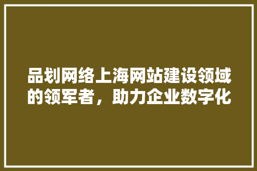 品划网络上海网站建设领域的领军者，助力企业数字化转型 SEO关键词
