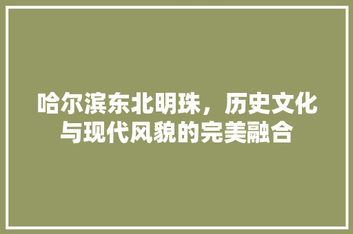 哈尔滨东北明珠，历史文化与现代风貌的完美融合