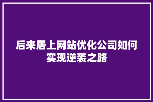 后来居上网站优化公司如何实现逆袭之路 神马SEO
