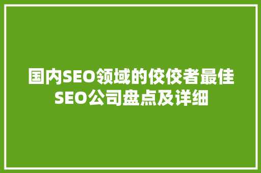 国内SEO领域的佼佼者最佳SEO公司盘点及详细