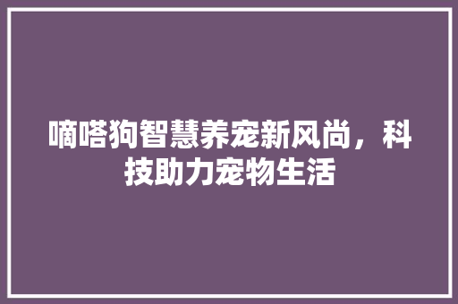 嘀嗒狗智慧养宠新风尚，科技助力宠物生活 SEO关键词
