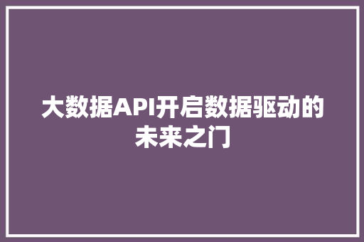 大数据API开启数据驱动的未来之门