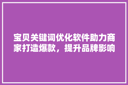 宝贝关键词优化软件助力商家打造爆款，提升品牌影响力