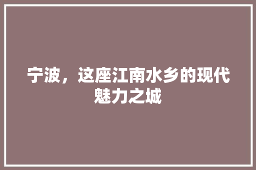 宁波，这座江南水乡的现代魅力之城 搜狗SEO