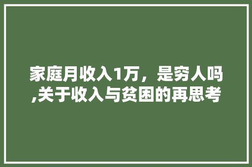家庭月收入1万，是穷人吗,关于收入与贫困的再思考