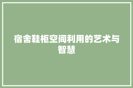 宿舍鞋柜空间利用的艺术与智慧
