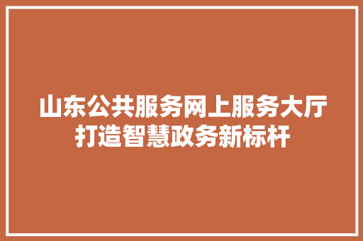 山东公共服务网上服务大厅打造智慧政务新标杆 必应SEO