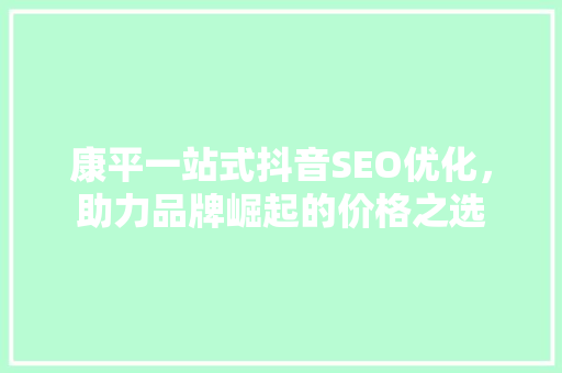 康平一站式抖音SEO优化，助力品牌崛起的价格之选 网站建设公司