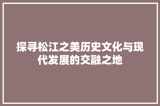 探寻松江之美历史文化与现代发展的交融之地 必应SEO