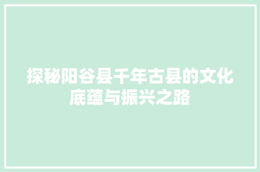 探秘阳谷县千年古县的文化底蕴与振兴之路 百度SEO