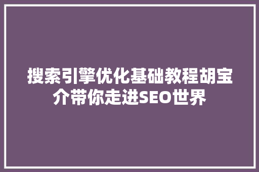 搜索引擎优化基础教程胡宝介带你走进SEO世界