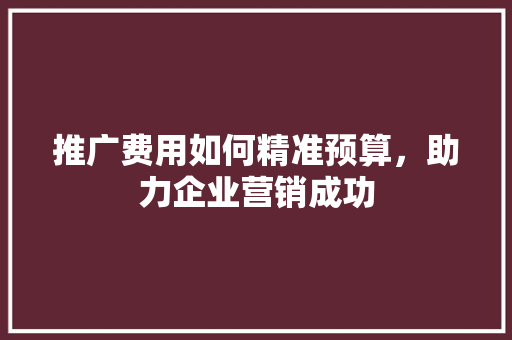 推广费用如何精准预算，助力企业营销成功 网站建设公司