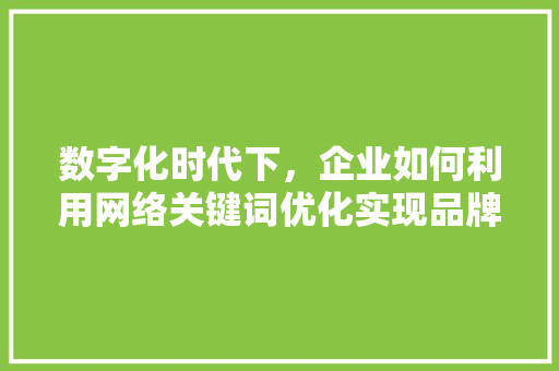 数字化时代下，企业如何利用网络关键词优化实现品牌升级