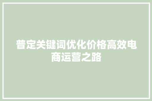 普定关键词优化价格高效电商运营之路