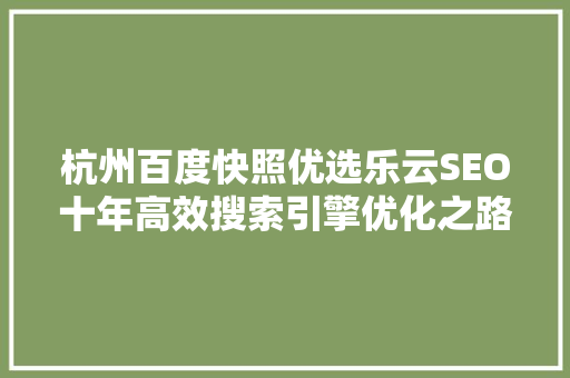 杭州百度快照优选乐云SEO十年高效搜索引擎优化之路 网站建设公司