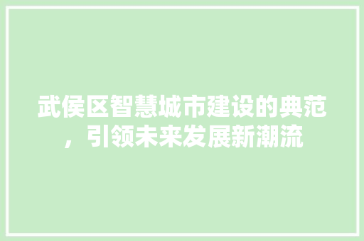 武侯区智慧城市建设的典范，引领未来发展新潮流