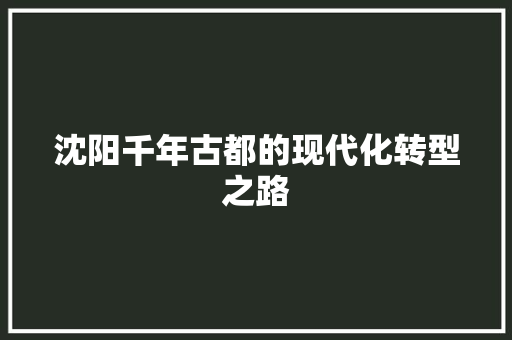 沈阳千年古都的现代化转型之路 SEO关键词
