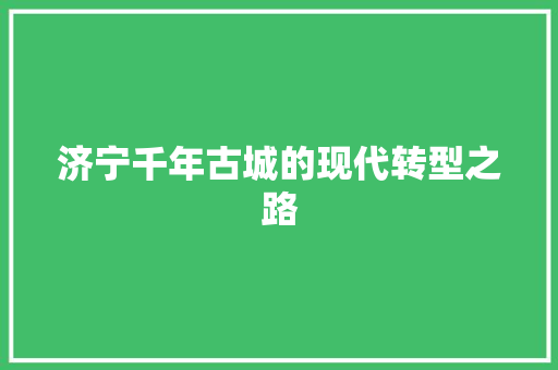 济宁千年古城的现代转型之路