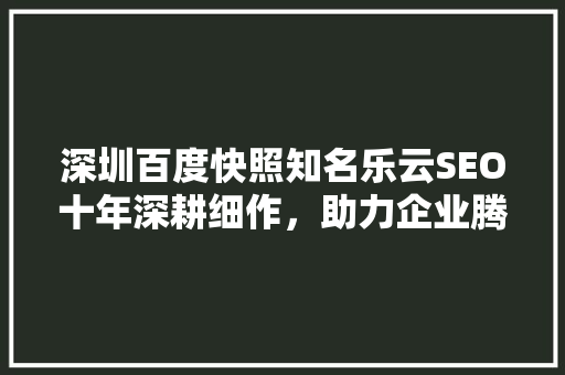 深圳百度快照知名乐云SEO十年深耕细作，助力企业腾飞