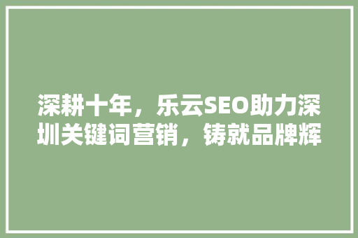 深耕十年，乐云SEO助力深圳关键词营销，铸就品牌辉煌 百度SEO