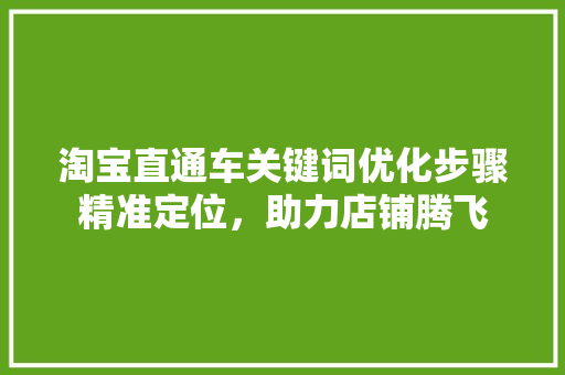 淘宝直通车关键词优化步骤精准定位，助力店铺腾飞 神马SEO