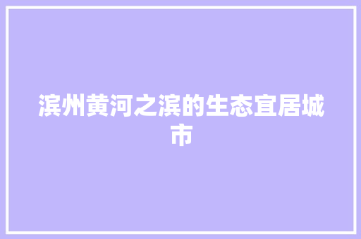 滨州黄河之滨的生态宜居城市 网站建设公司