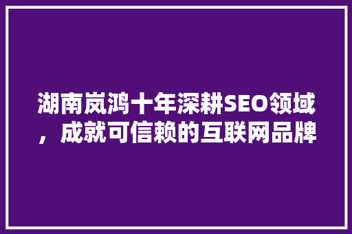 湖南岚鸿十年深耕SEO领域，成就可信赖的互联网品牌 必应SEO