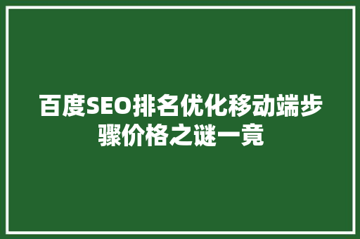 百度SEO排名优化移动端步骤价格之谜一竟