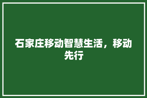 石家庄移动智慧生活，移动先行 搜狗SEO