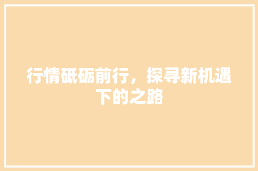 行情砥砺前行，探寻新机遇下的之路