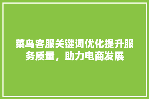 菜鸟客服关键词优化提升服务质量，助力电商发展