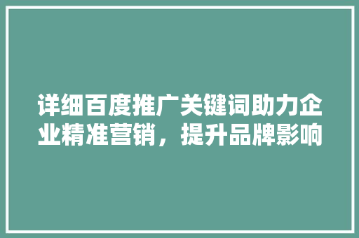 详细百度推广关键词助力企业精准营销，提升品牌影响力 网站建设公司