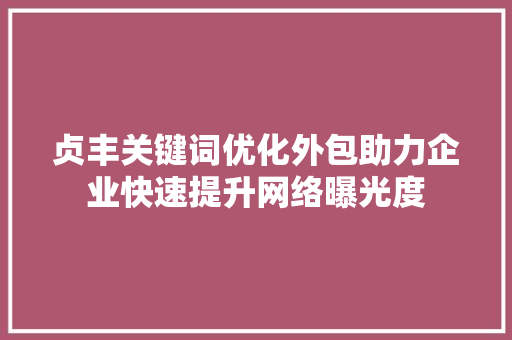 贞丰关键词优化外包助力企业快速提升网络曝光度